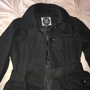 Black fancy, soft coat.